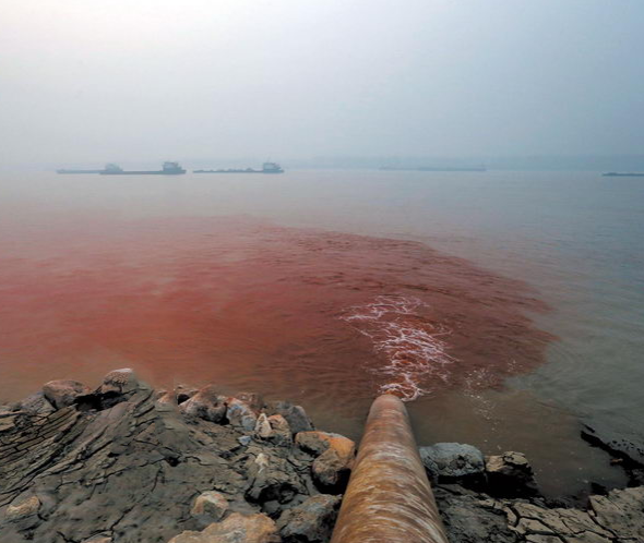 1603848429178985.png shuiwuran1.png